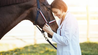woman holding horse