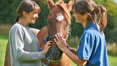 Women talking with horse