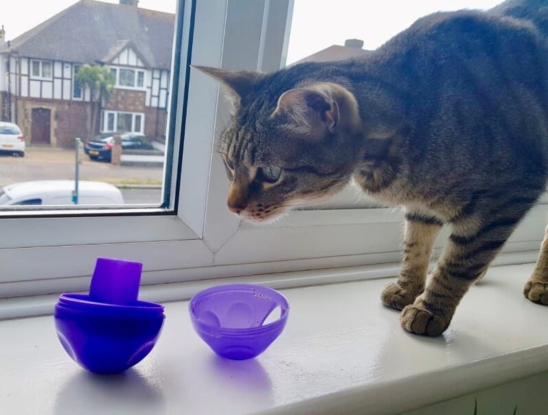 Dietary management of diabetes mellitus Veterinary Practice