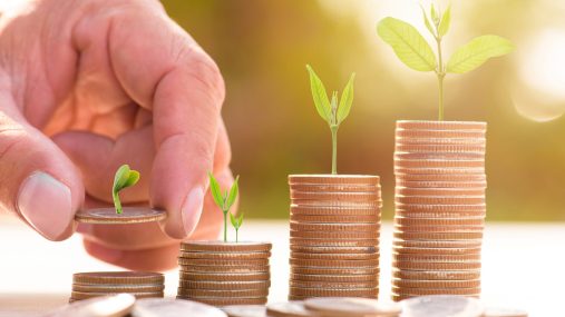 money coins growing plants