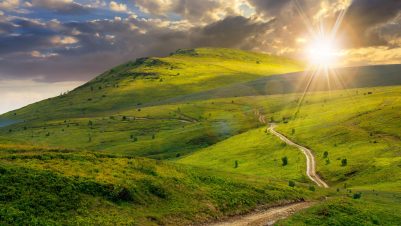 green grass hills