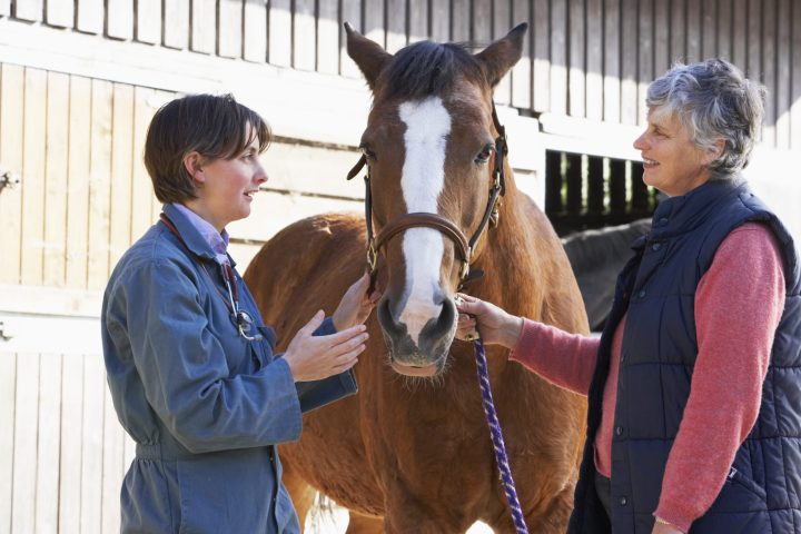 Women talking with horse