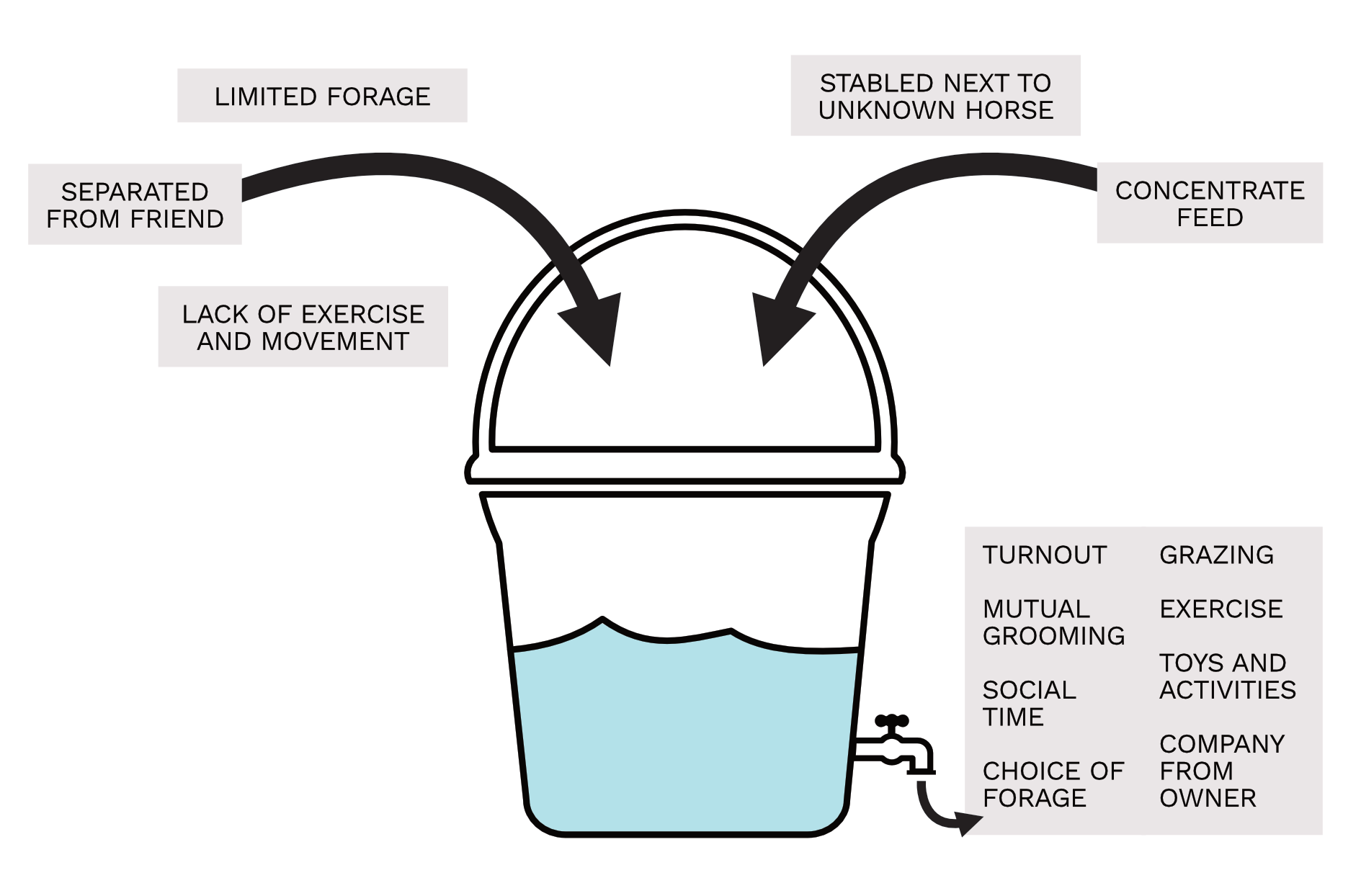Identifying and reducing equine stress during box rest or winter