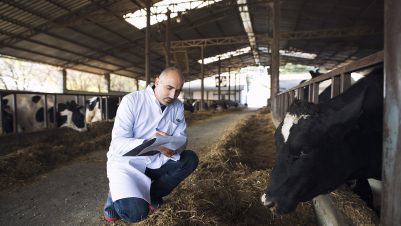 Vet taking notes with cow
