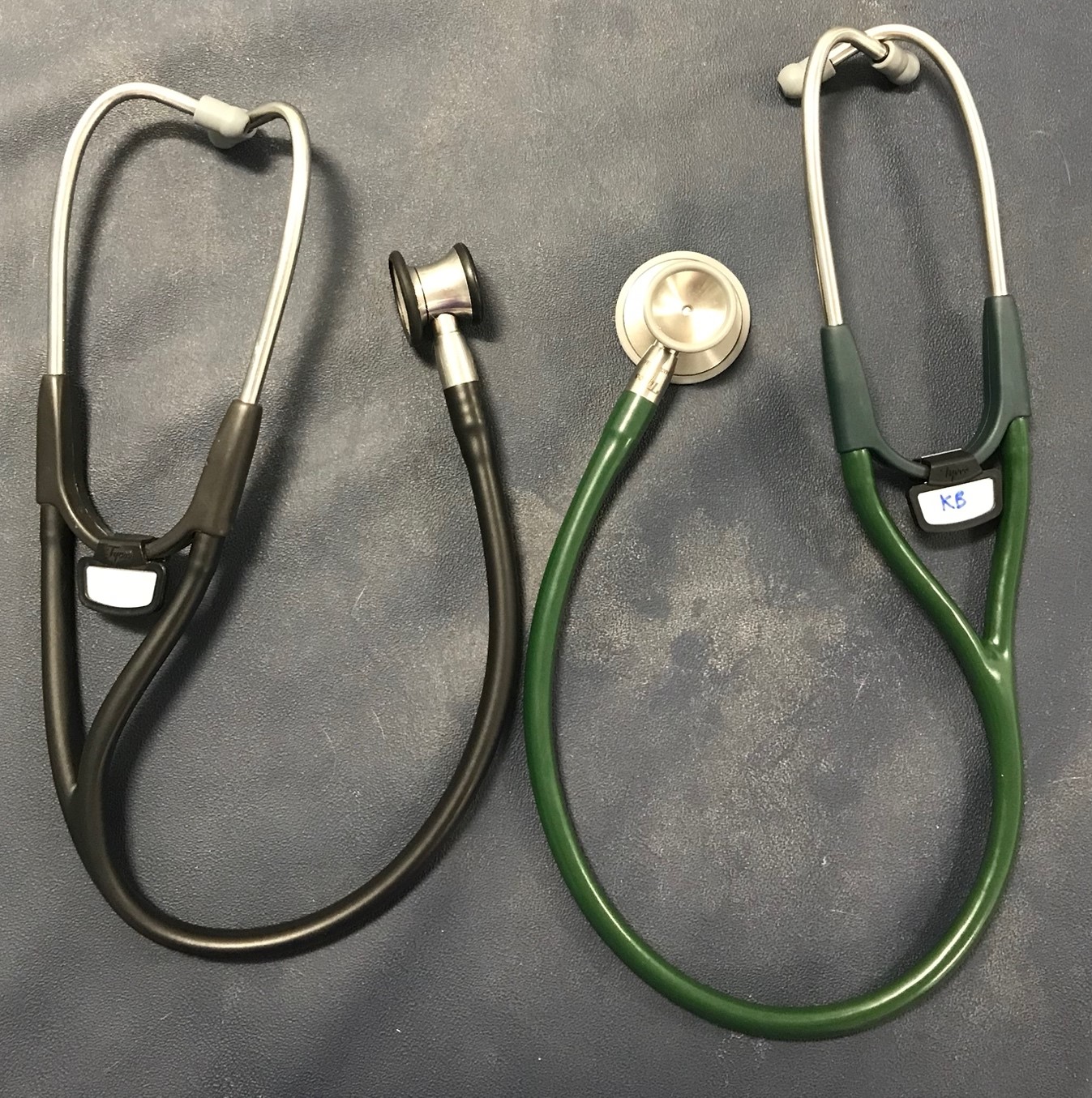 Auscultation back to the basics Veterinary Practice