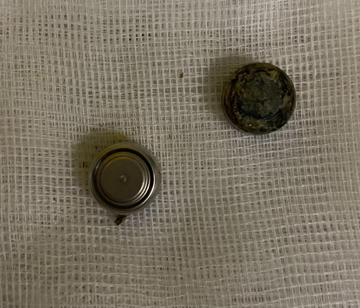 Positive after dog swallowed a battery Veterinary Practice