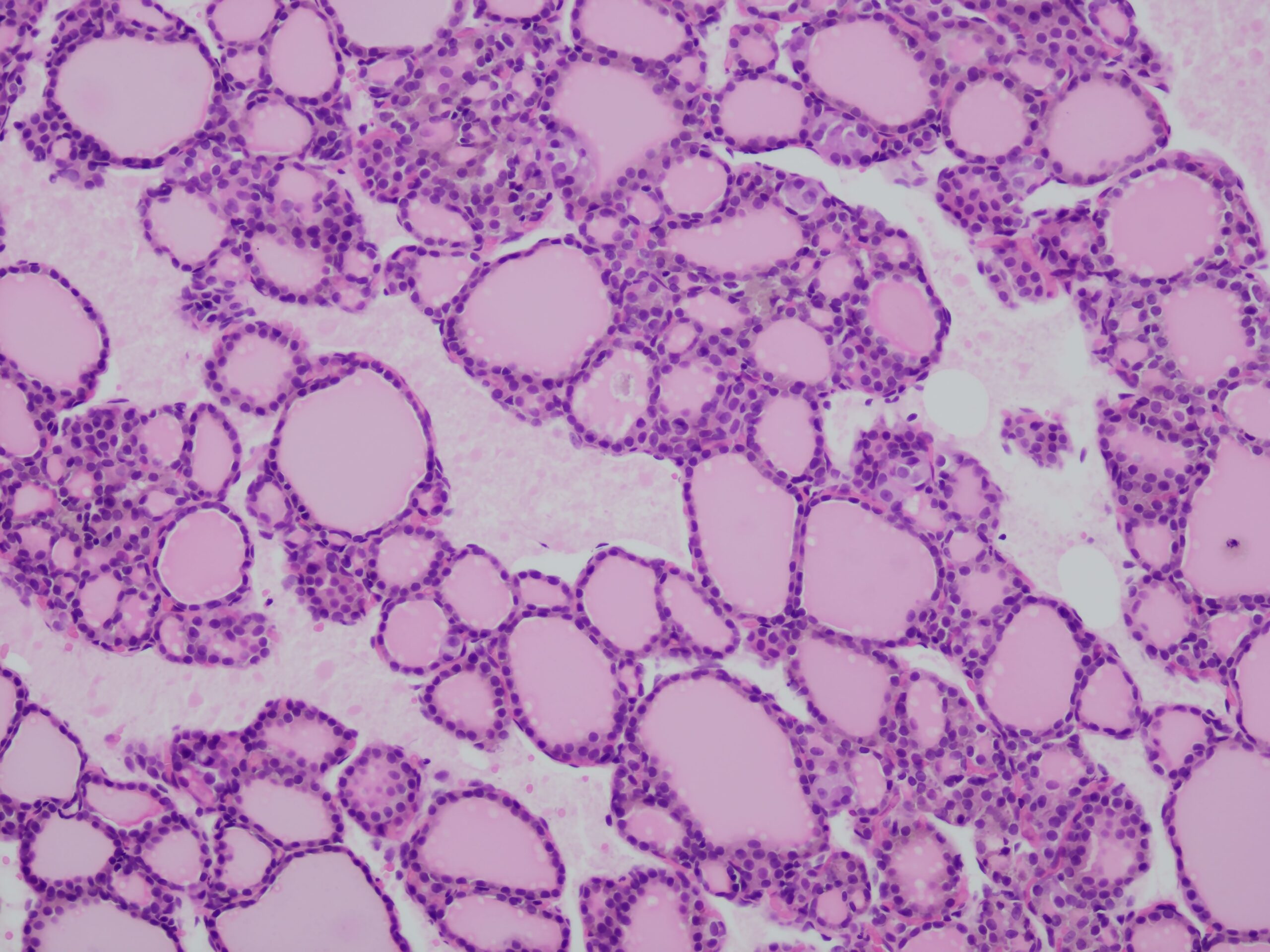 The ABC of diagnostic pathology Veterinary Practice