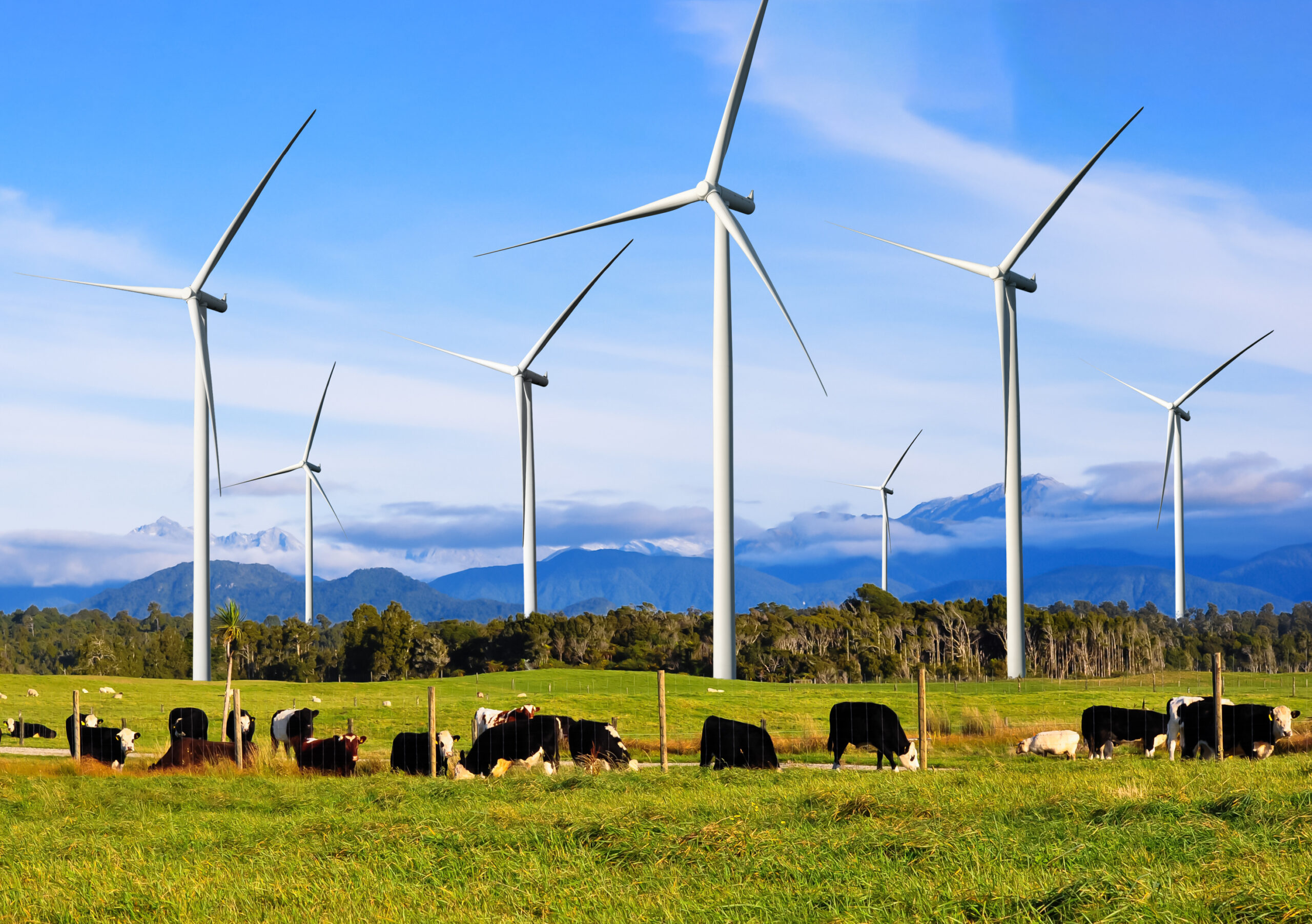 Sustainability training course for farm veterinary professionals open for  registration - Veterinary Practice