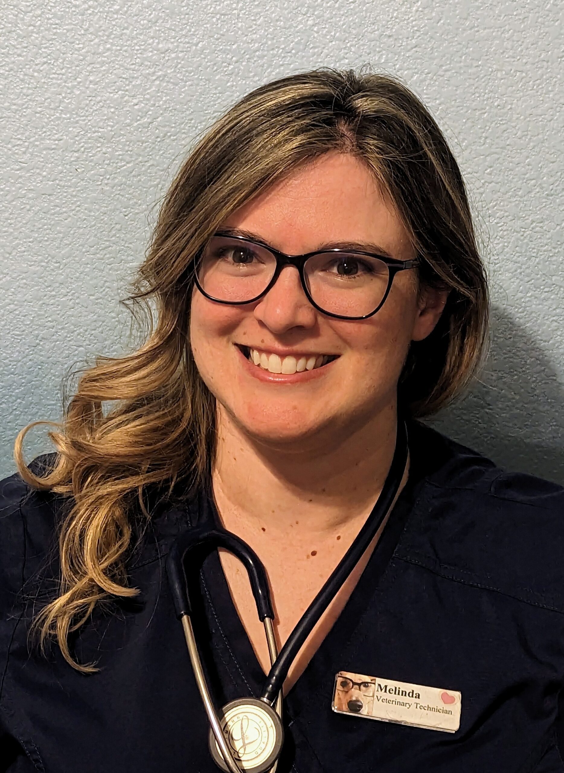 Melinda Hollinger Veterinary Practice Melinda hollinger veterinary practice