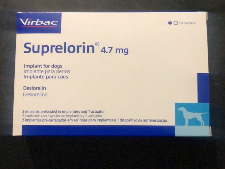 Adrenal disease in ferrets Veterinary Practice