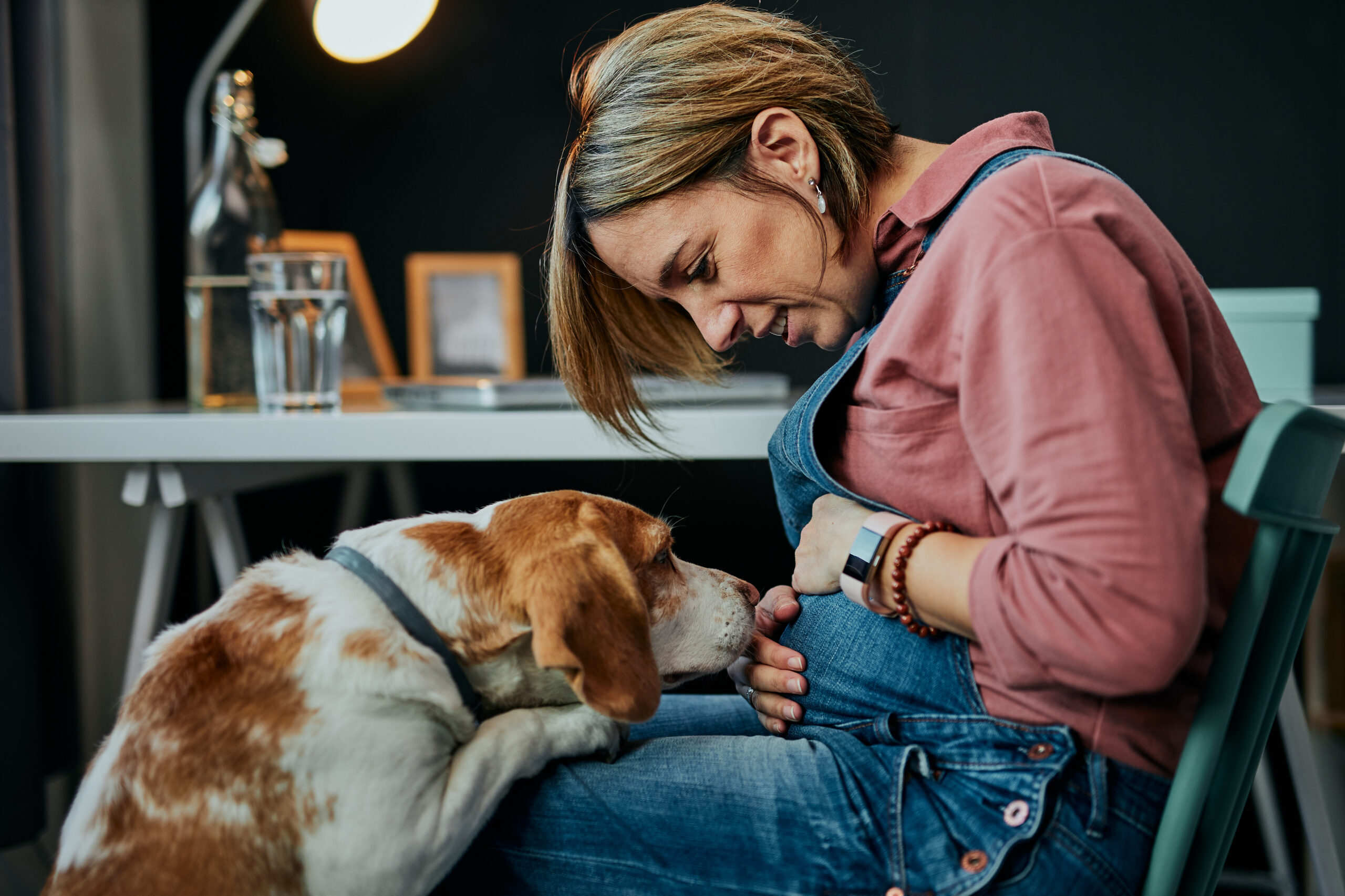 Considerations for pregnant veterinary staff Veterinary Practice