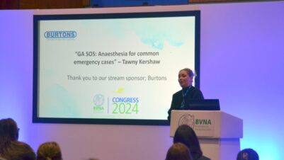 Speaker at BNVA conference